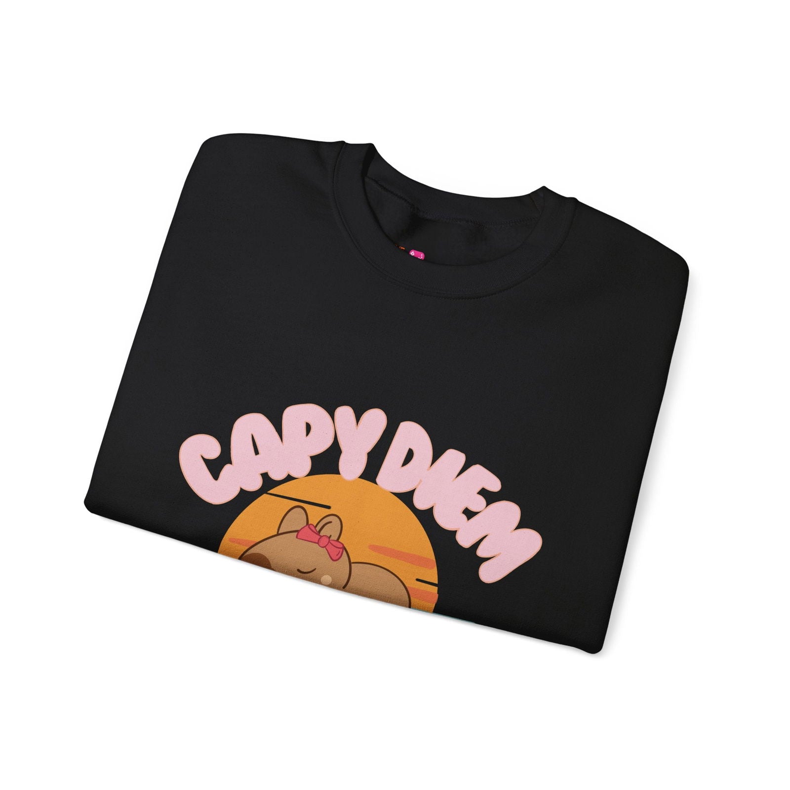 Capy Diem Sweatshirt - The Pink Controller 