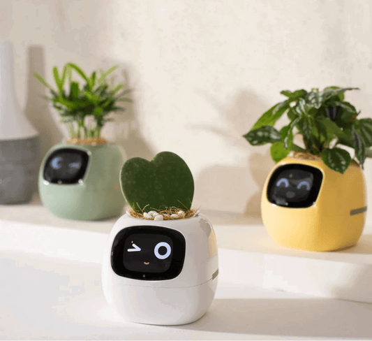 Smart Pet Planter - The Pink Controller 